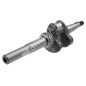 Albero motore per rasaerba DAYE - DAYEE Y2410000100 Compatibile - 023533
