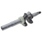 Crankshaft BX46SQ - 058312