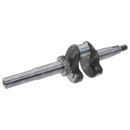 Vilebrequin Y196V - 056722 | Newgardenstore.eu