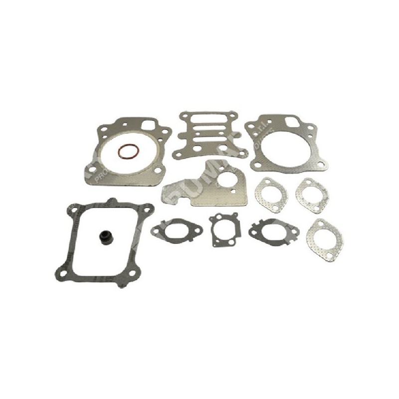 Set of gaskets for BRIGGS & STRATTON engines 592174 (ex 799496) - 046832
