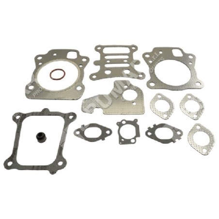 Juego de juntas para motores BRIGGS & STRATTON 592174 (ex 799496) - 046832 | Newgardenstore.eu