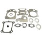 Set of gaskets for BRIGGS & STRATTON engines 592174 (ex 799496) - 046832