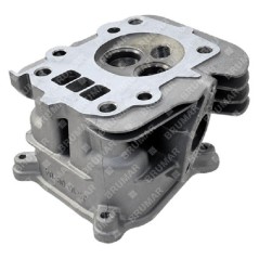 RATO cylinder head - 056925 | Newgardenstore.eu