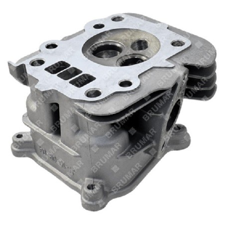 RATO cylinder head - 056925 | Newgardenstore.eu