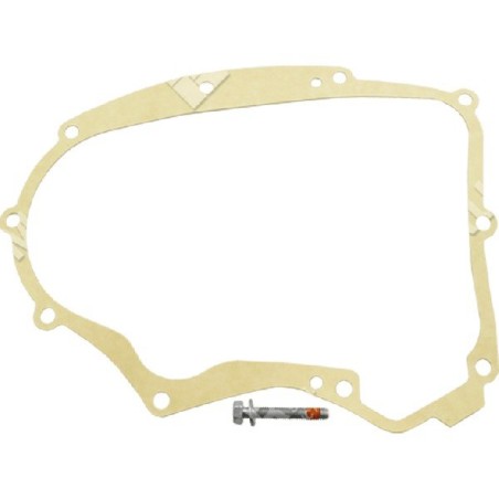 Kurbelgehäusedichtungssatz BRIGGS & STRATTON 594195 - 049951 | Newgardenstore.eu