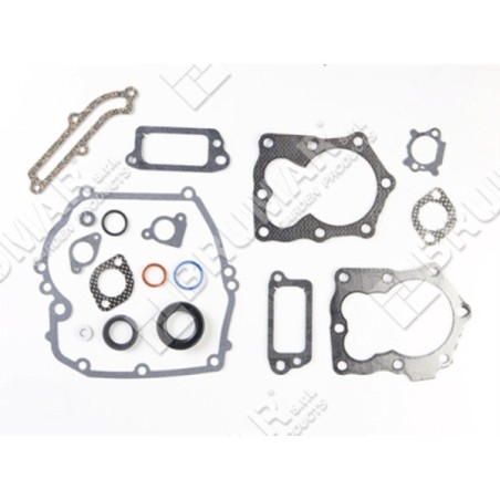Dichtungssatz für BRIGGS & STRATTON-Motoren 590508 (ex 794307 - 497316) - 026096 | Newgardenstore.eu
