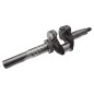 Vilebrequin pour moteurs LONCIN 130290188-0001 - 049357