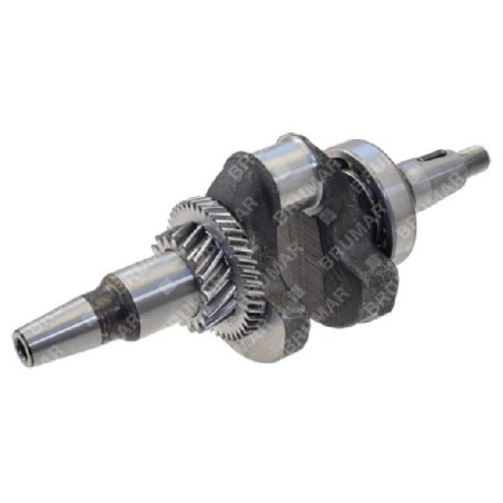 Cigüeñal DG11050T - 057283 | Newgardenstore.eu