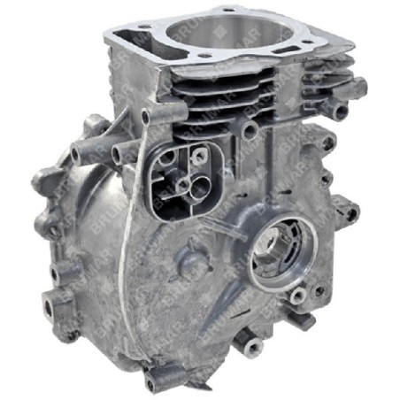 Engine block for DUCAR engines and lawnmowers 470203 - 055622 | Newgardenstore.eu