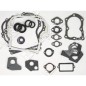 Serie guarnizioni per motori BRIGGS & STRATTON 495603 Compatibile - 020374