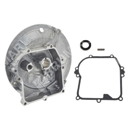 BRIGGS & STRATTON base 590569 - 051348 | Newgardenstore.eu