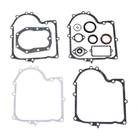 Kit de juntas para motores BRIGGS & STRATTON 494241 (ex 490525) - 051221 | Newgardenstore.eu