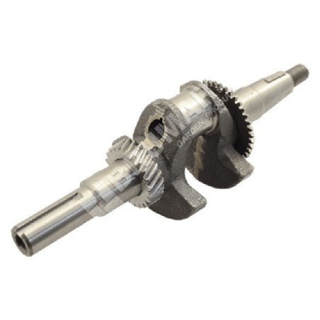 Crankshaft for HONDA 13310.Z1T.800 engines - 048964 | Newgardenstore.eu