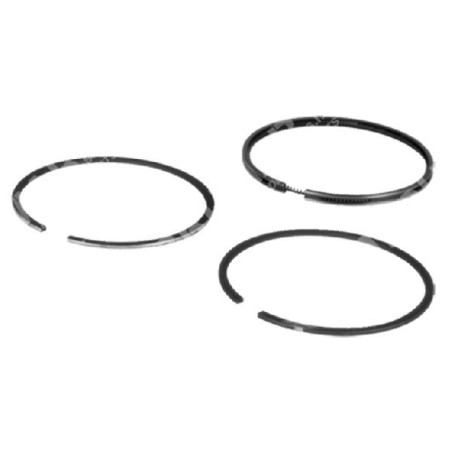 Kit de segments standards BRIGGS & STRATTON - 020160 | Newgardenstore.eu