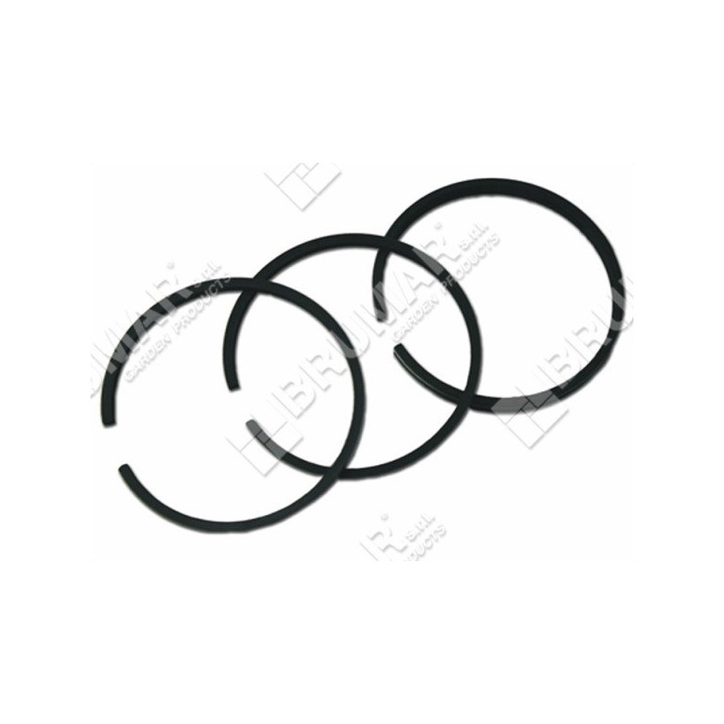 Serie de segmentos BRIGGS & STRATTON - 026245