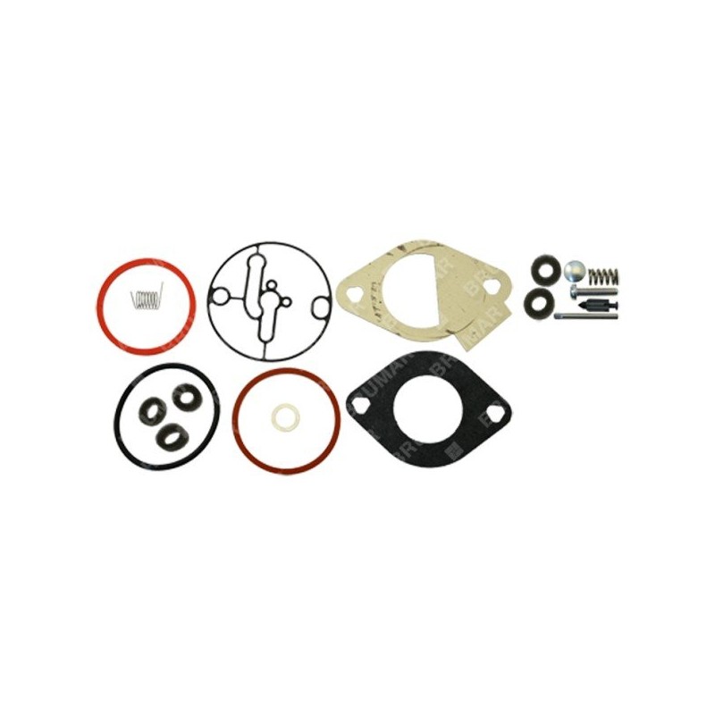 Serie guarnizioni per motori BRIGGS & STRATTON 796184 Compatibile - 026066