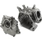 Kit cárter motor para motobombas DUCAR 250201 + 250101 - 047315