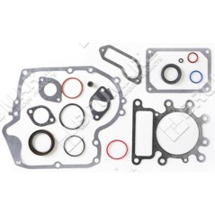 Juego de juntas para motores BRIGGS & STRATTON 796181 (ex 697151) - 020499 | Newgardenstore.eu