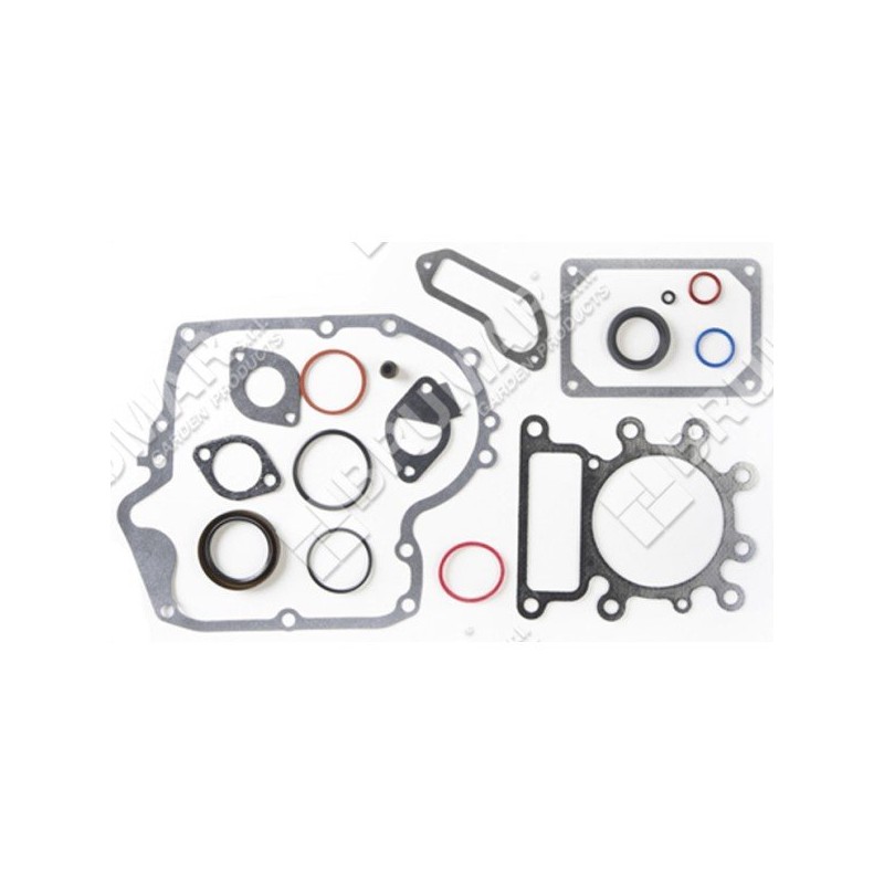 Series of gaskets for BRIGGS & STRATTON engines 796181 (ex 697151) - 020499