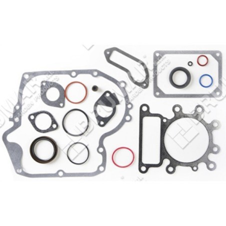 Juego de juntas para motores BRIGGS & STRATTON 796181 (ex 697151) - 020499 | Newgardenstore.eu