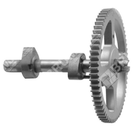 Crankshaft for BRIGGS & STRATTON engines 793880 - 793583 - 795102 - 026003 | Newgardenstore.eu