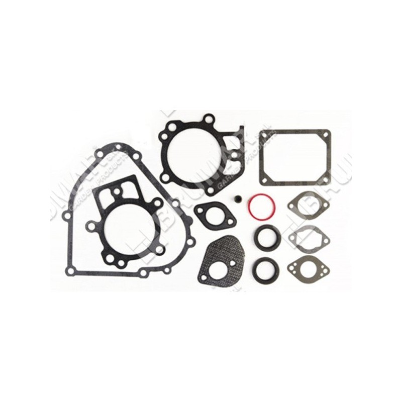 Serie guarnizioni per motori BRIGGS & STRATTON 795201 Compatibile - 026248