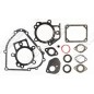 Serie guarnizioni per motori BRIGGS & STRATTON 795201 Compatibile - 026248