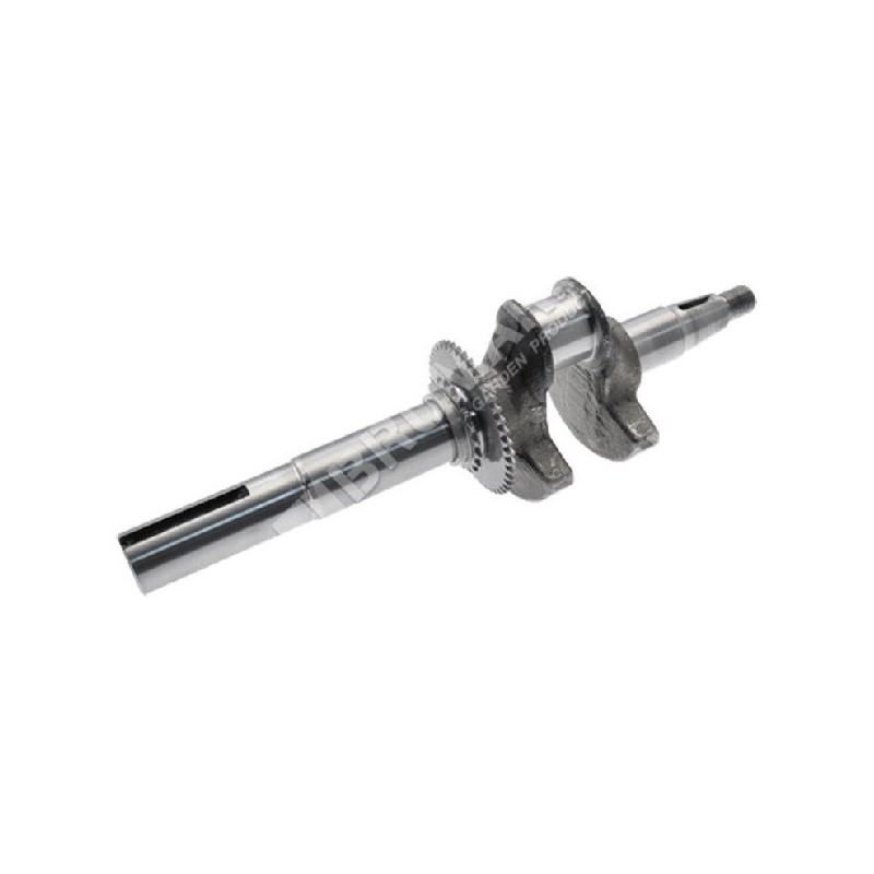 Vilebrequin pour moteurs YAMAHA - 055241