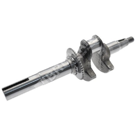 Vilebrequin pour moteurs YAMAHA - 055241 | Newgardenstore.eu