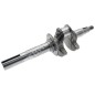 Albero motore per motori YAMAHA Compatibile - 055241