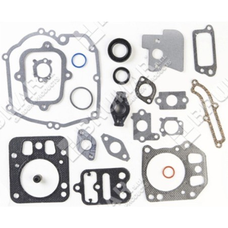 Gasket set for BRIGGS & STRATTON engines 795442 (ex 792384 - 694090 - 690219 - 692702 - 499686 - 698156) - 020343 | Newgarden...