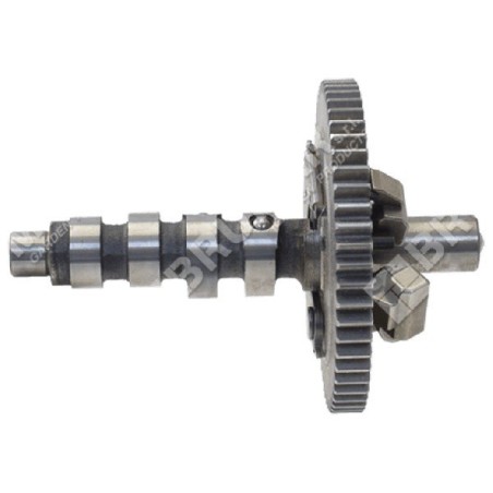 Camshaft for BRIGGS & STRATTON engines 845649 - 052393 | Newgardenstore.eu