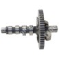 Arbre à cames pour moteurs BRIGGS & STRATTON 845649 - 052393
