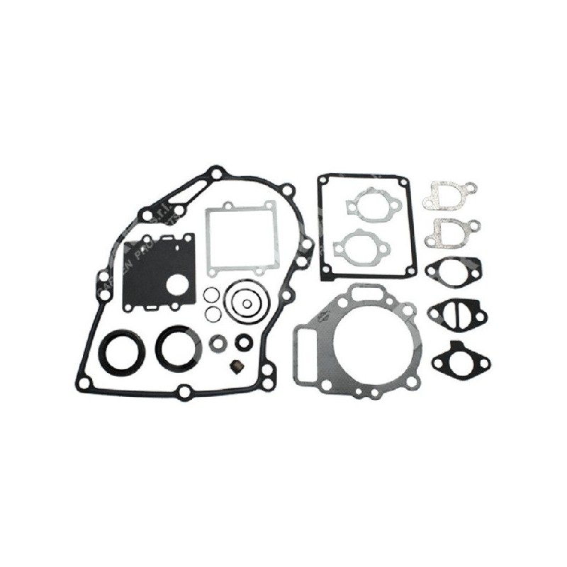 Series of gaskets for BRIGGS & STRATTON engines 495260 (ex 261777 - 492271) - 026240