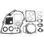 Series of gaskets for BRIGGS & STRATTON engines 495260 (ex 261777 - 492271) - 026240