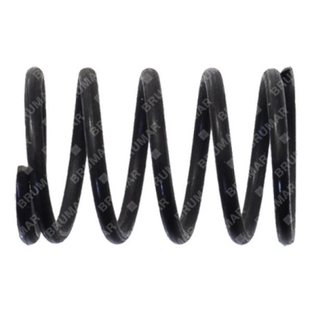 Muelle de válvula para sopladores GREEN LINE - 023052 | Newgardenstore.eu