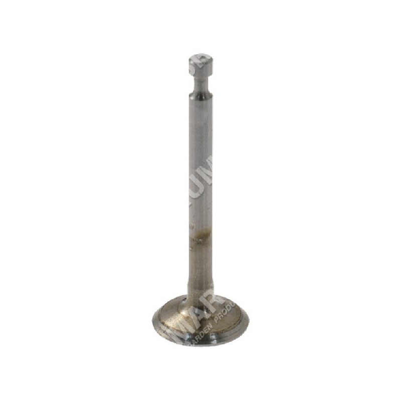 Intake valve for HONDA engines - 054635