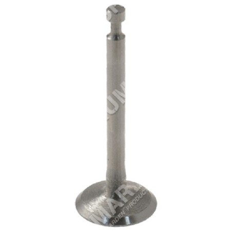 Drain valve for HONDA motor hoes - 054625 | Newgardenstore.eu