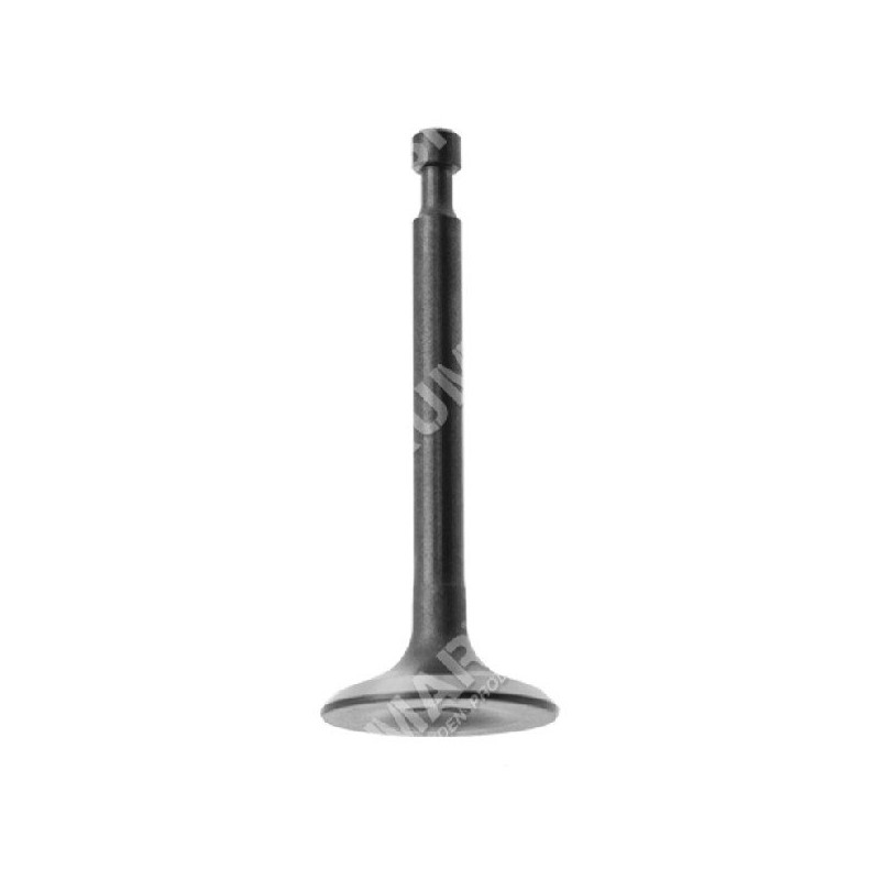 Drain valve for MAORI motor pumps - 039143
