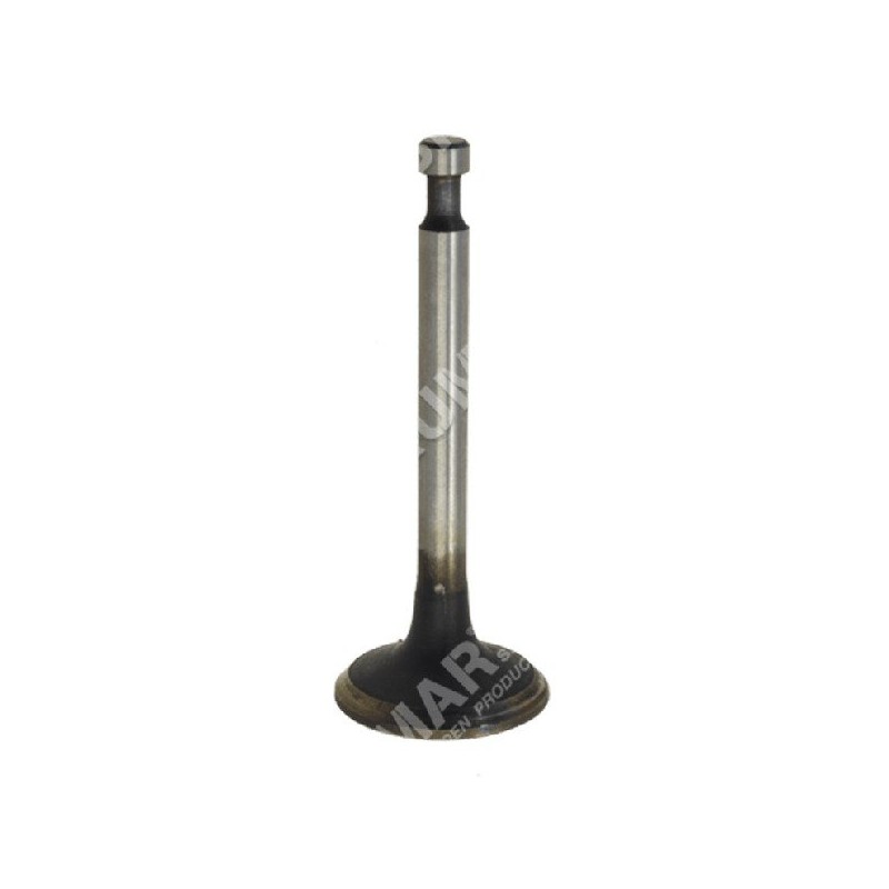 Suction valve for MAORI motor pumps - 039142