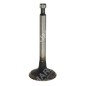 Suction valve for MAORI motor pumps - 039142