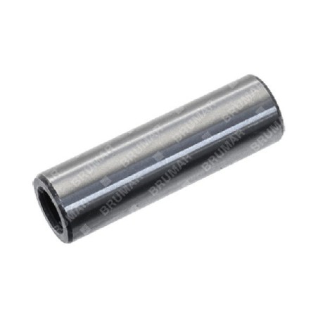 Pasador de pistón diámetro 10 mm para desbrozadoras GREEN LINE - 022210 | Newgardenstore.eu