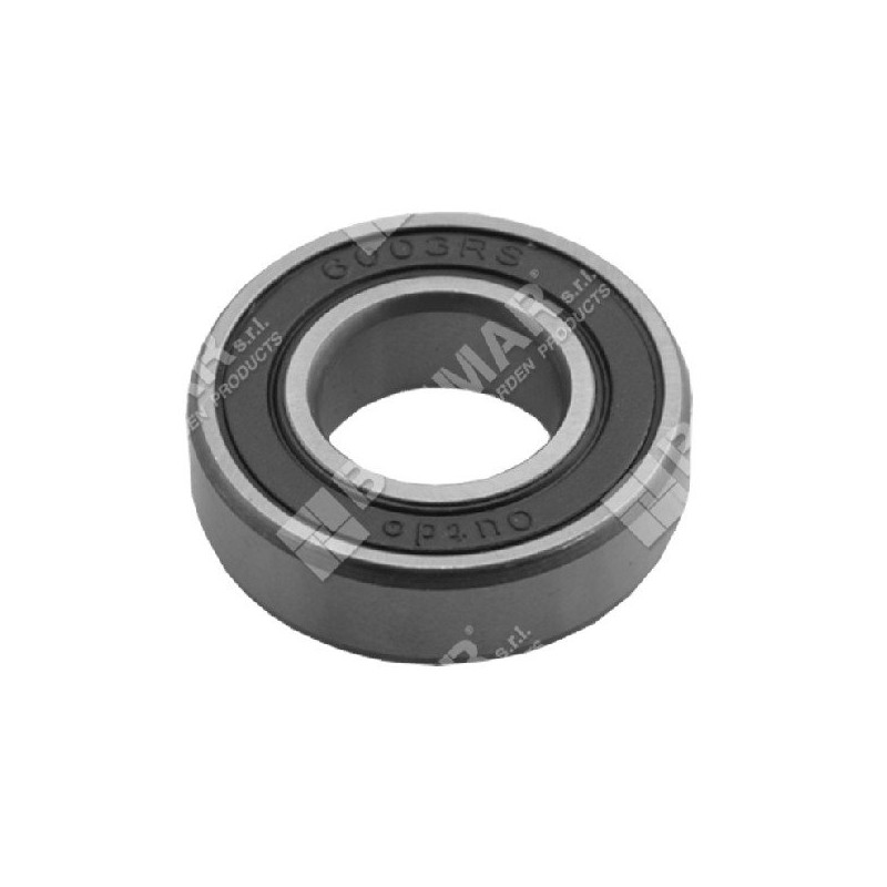 Rodamiento estándar 6003 diámetro interno 17 mm - 045913