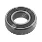 Cuscinetto standard 6003 diametro interno 17 mm Compatibile - 045913