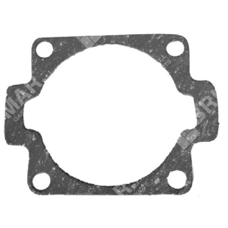 Junta de cilindro para motosierras HOMELITE 64453-58292 - 049003 | Newgardenstore.eu