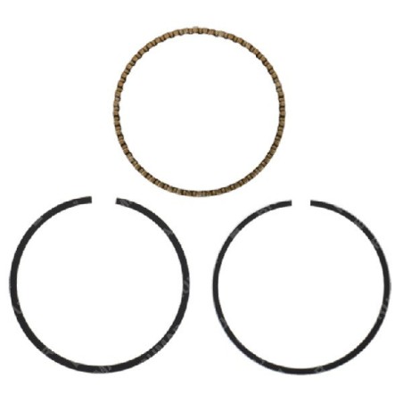 Kit de segments YAT - 055059 | Newgardenstore.eu