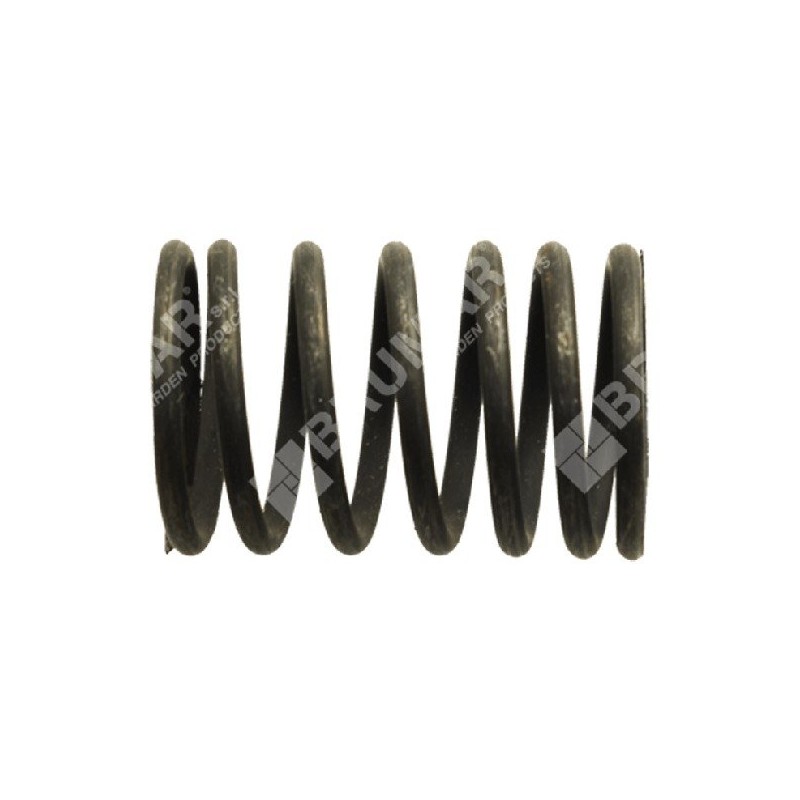 Ressort de soupape pour moteurs TAYA - SANDRIGARDEN - 013420