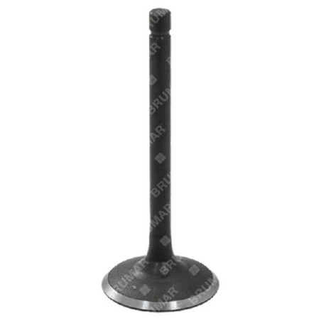 Intake valve for DUCAR motor generators - 056619 | Newgardenstore.eu