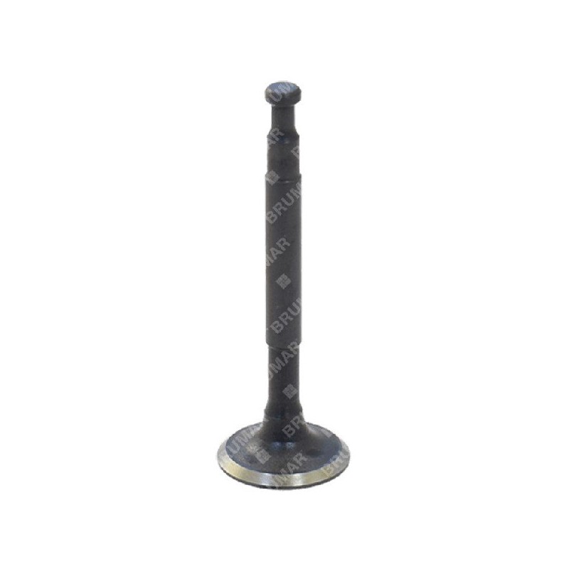 Vanne de vidange pour motopompes DUCAR - 038569