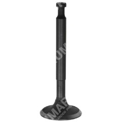 Intake valve for DUCAR motor pumps - 038568 | Newgardenstore.eu